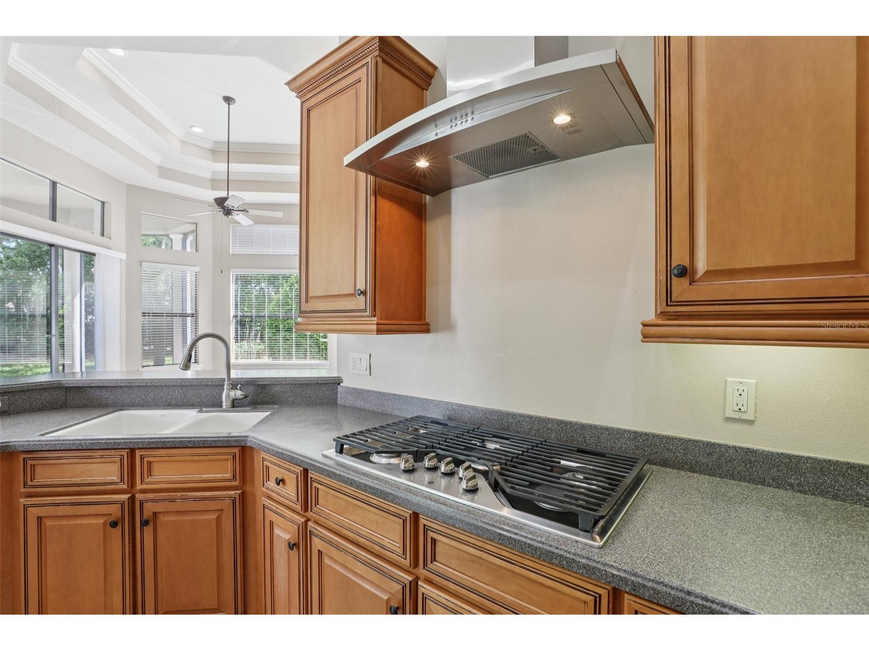 26345 San Gabriel Howey In The Hills FL 34737 G5110814 image15