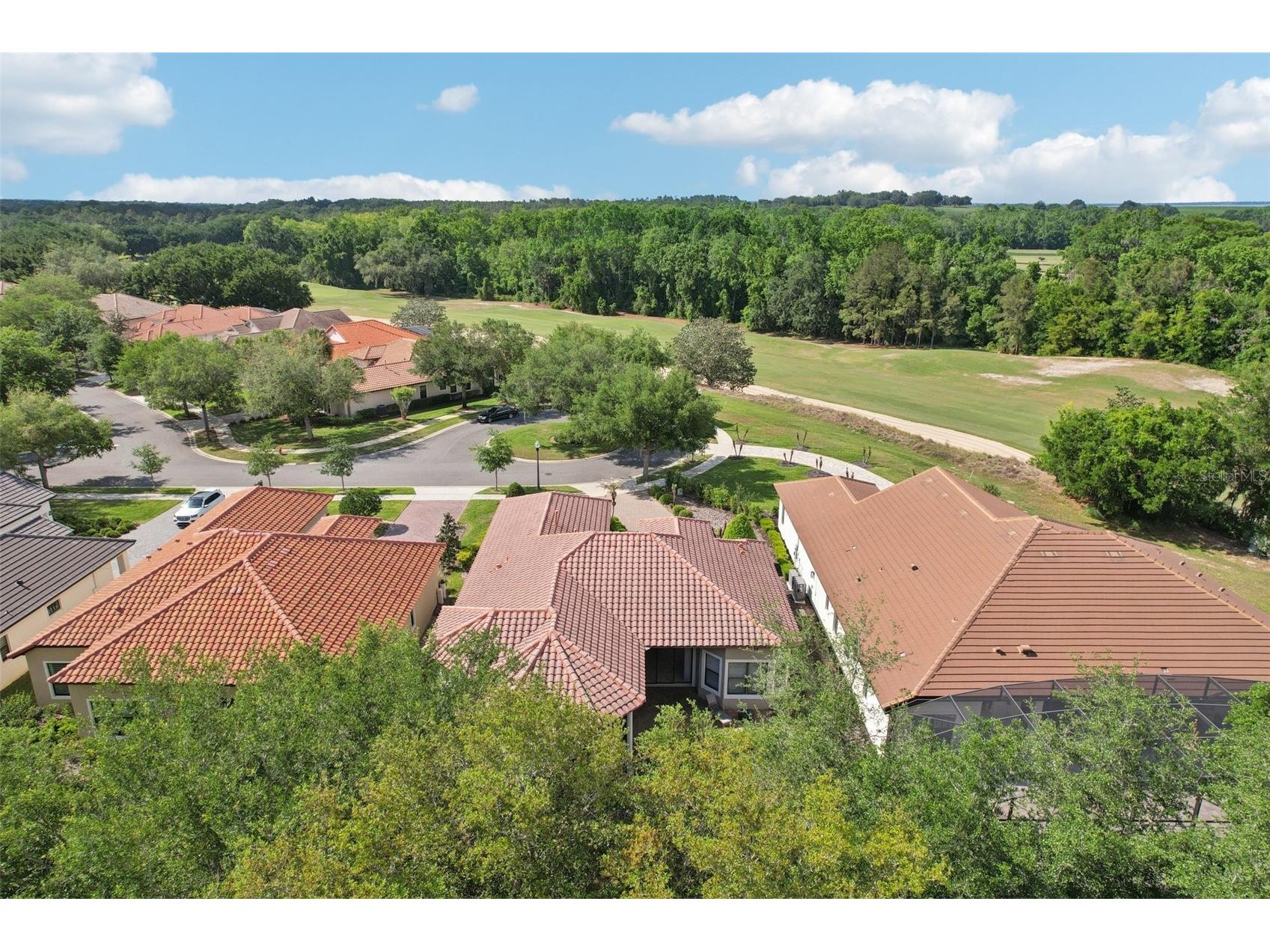 26345 San Gabriel Howey In The Hills FL 34737 G5110814 image46