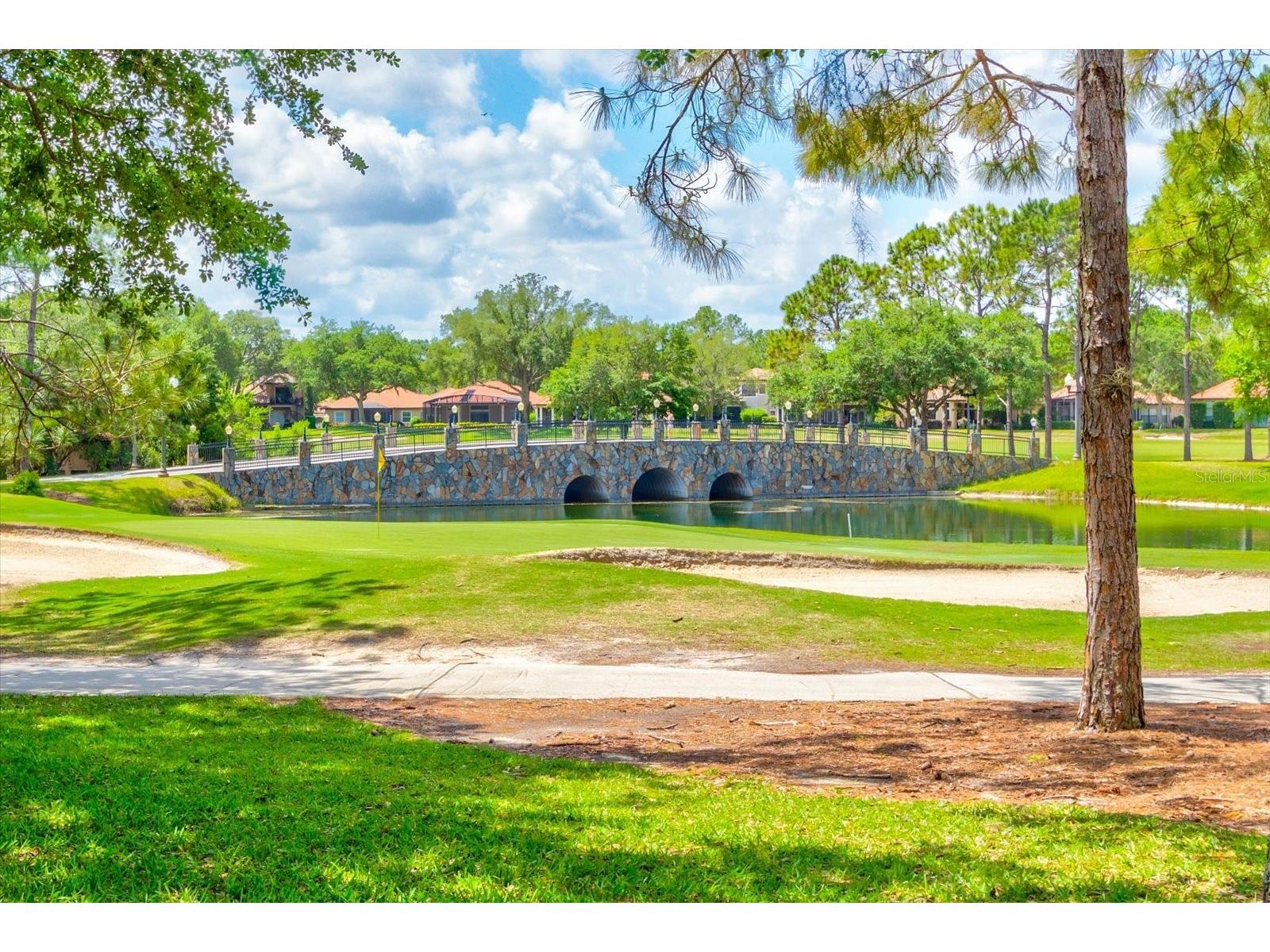 26345 San Gabriel Howey In The Hills FL 34737 G5110814 image55