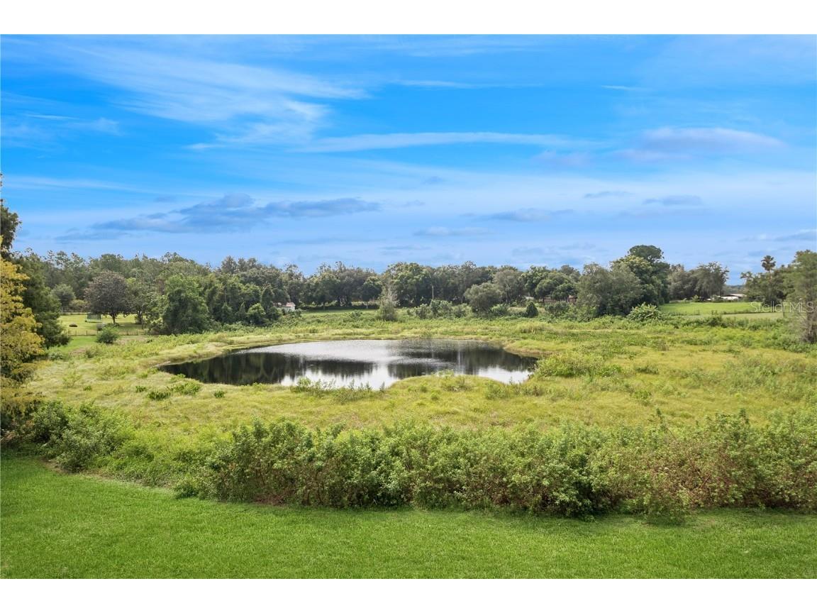 26348 SE Highway 42 Umatilla FL 32784 G5085464 image38