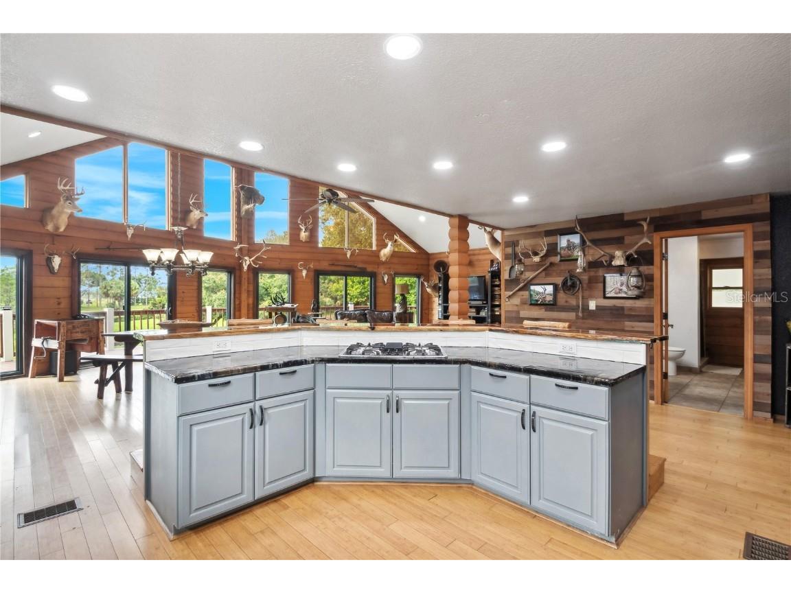 26348 SE Highway 42 Umatilla FL 32784 G5085464 image8