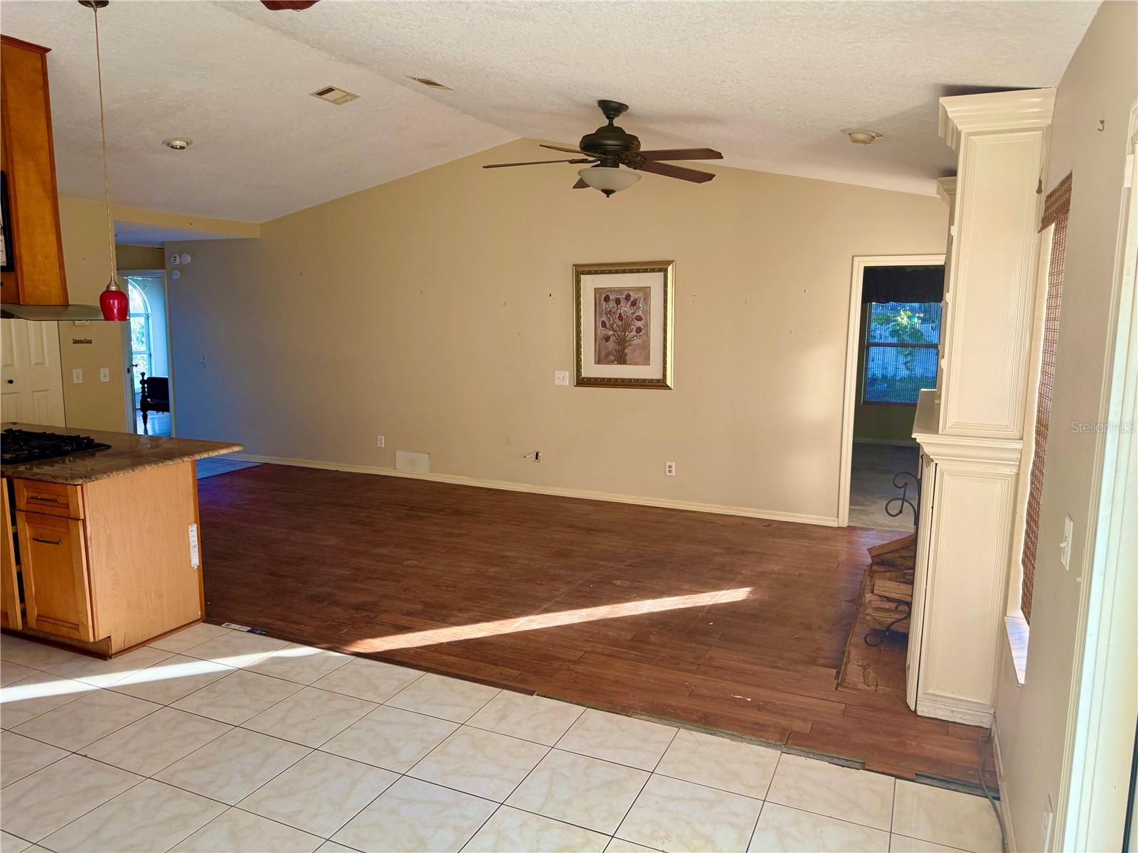 2635 Glenview Drive Land O Lakes FL 34639 W7881329 image15