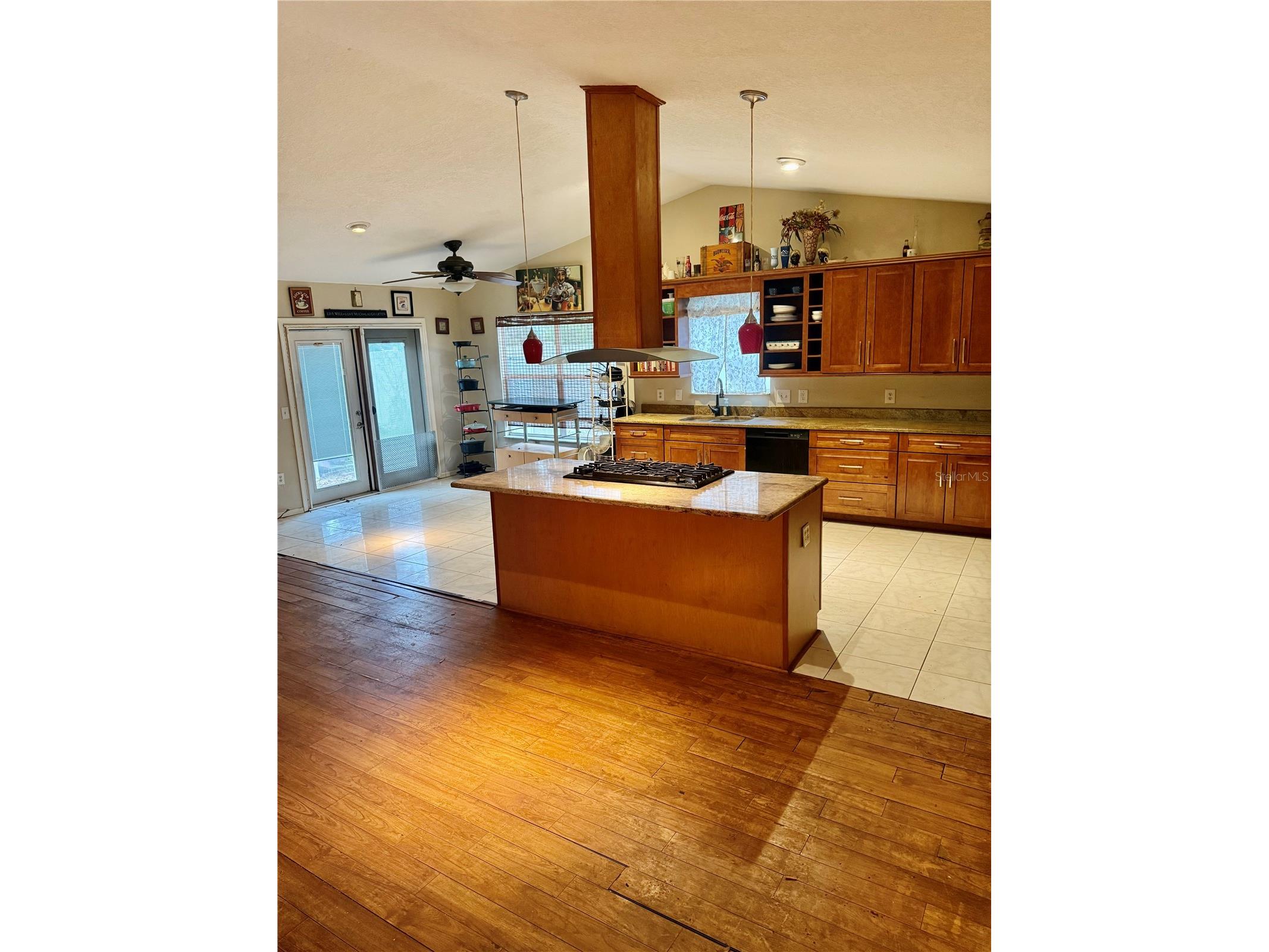 2635 Glenview Drive Land O Lakes FL 34639 W7881329 image16