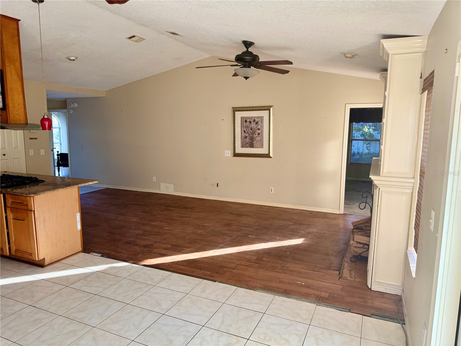 2635 Glenview Drive Land O Lakes FL 34639 W7881329 image17