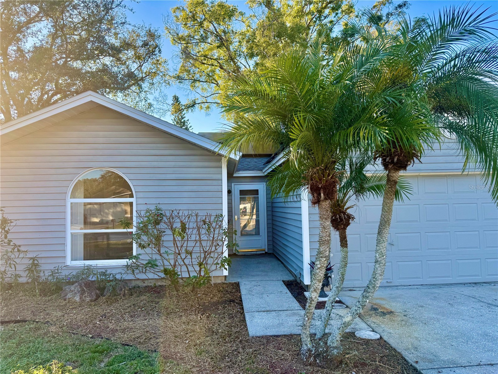 2635 Glenview Drive Land O Lakes FL 34639 W7881329 image23