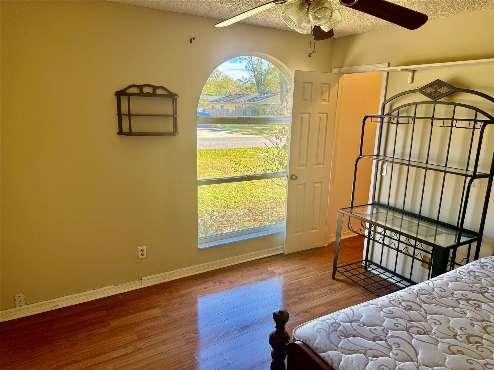 2635 Glenview Drive Land O Lakes FL 34639 W7881329 image31