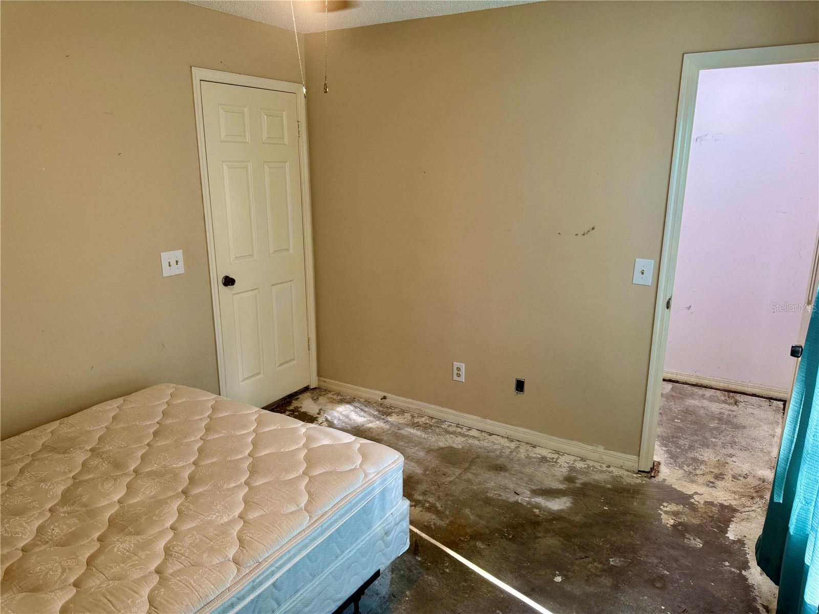 2635 Glenview Drive Land O Lakes FL 34639 W7881329 image34