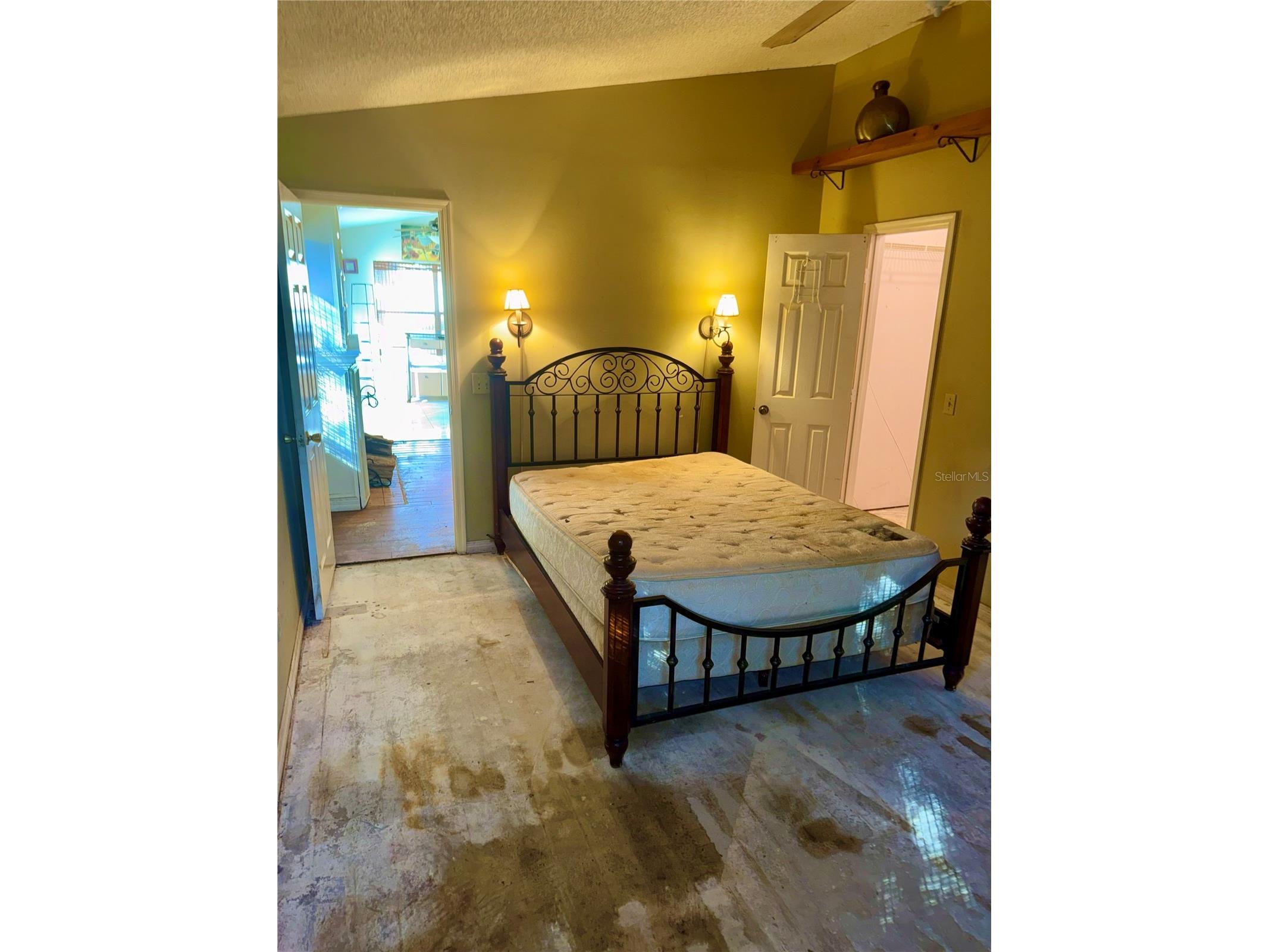 2635 Glenview Drive Land O Lakes FL 34639 W7881329 image45