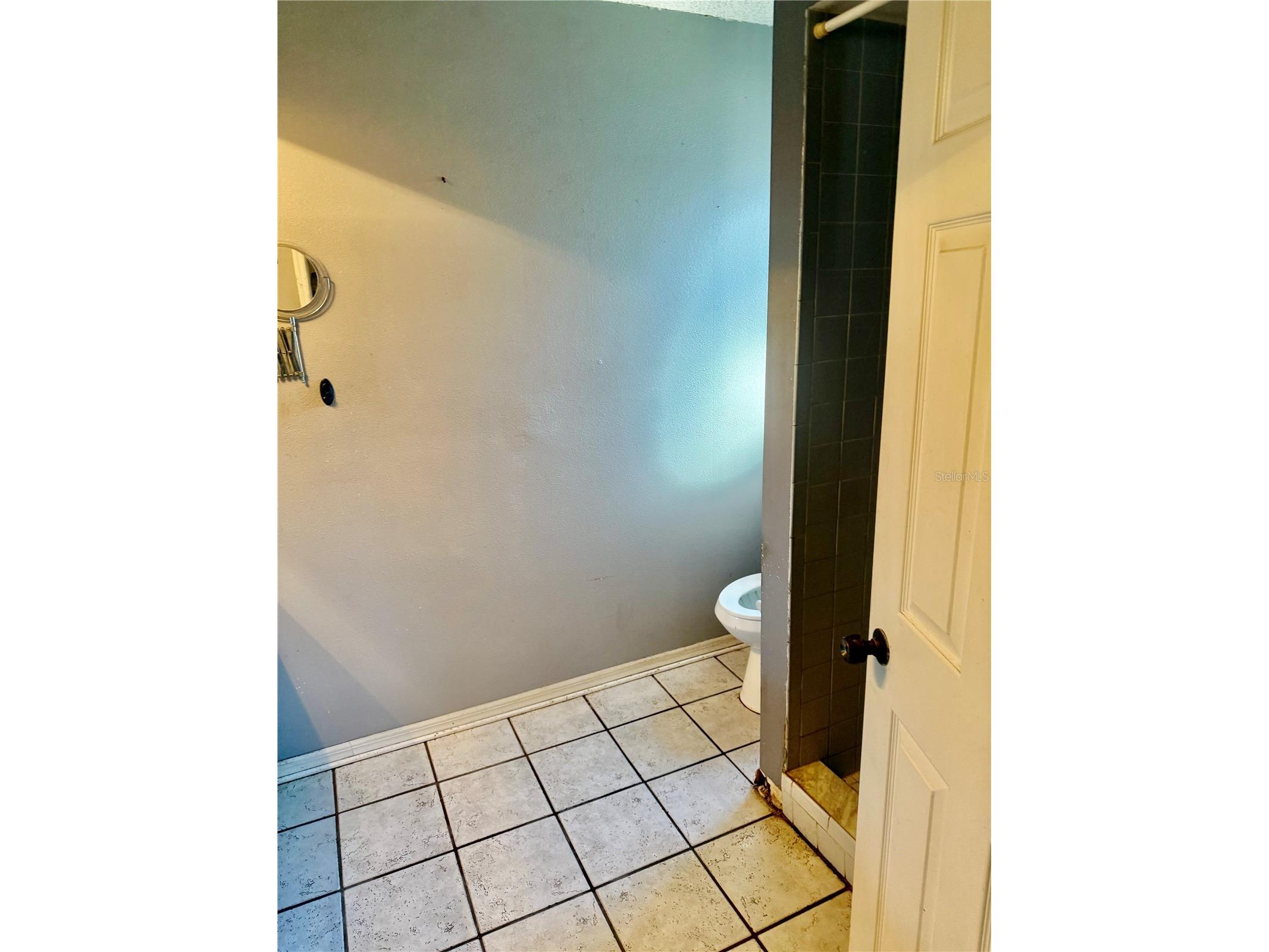 2635 Glenview Drive Land O Lakes FL 34639 W7881329 image47