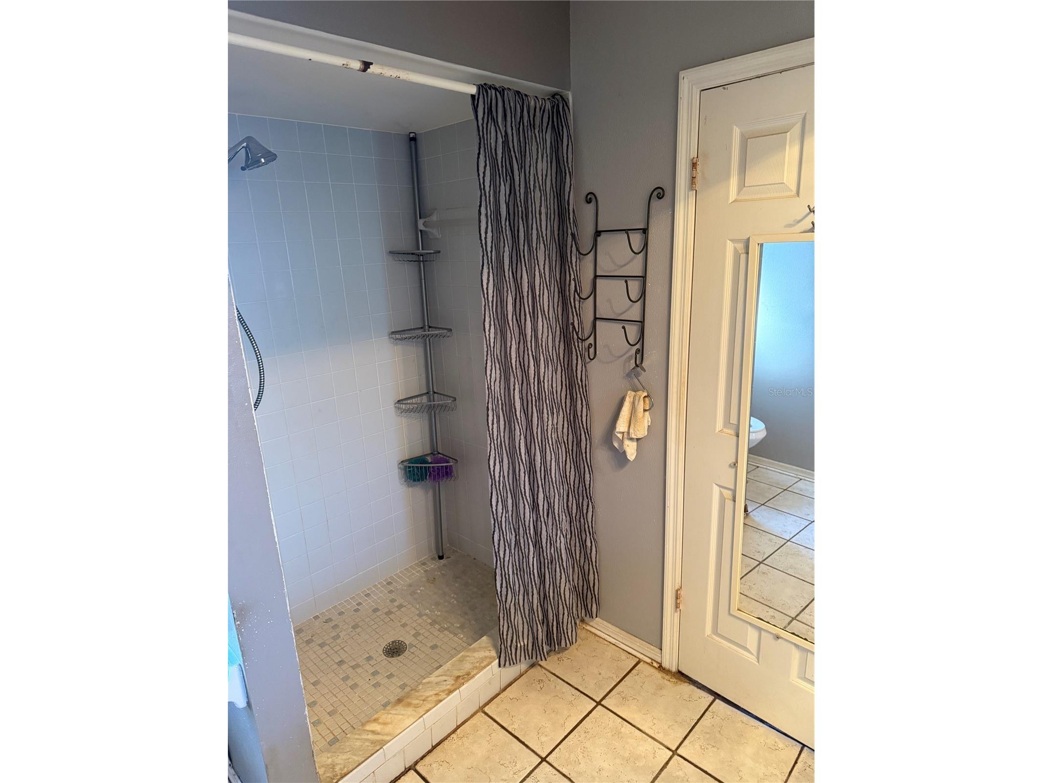 2635 Glenview Drive Land O Lakes FL 34639 W7881329 image48