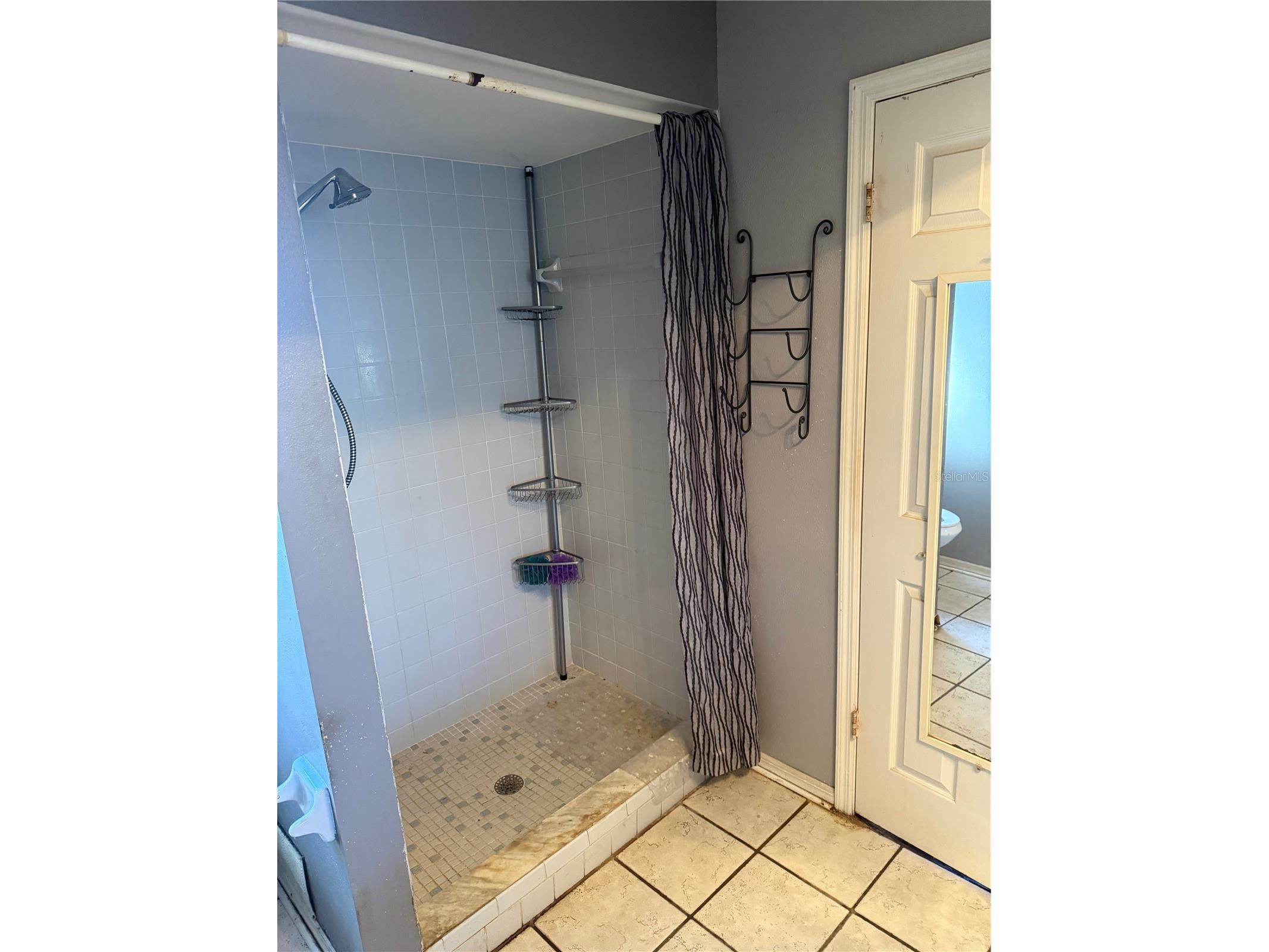 2635 Glenview Drive Land O Lakes FL 34639 W7881329 image49