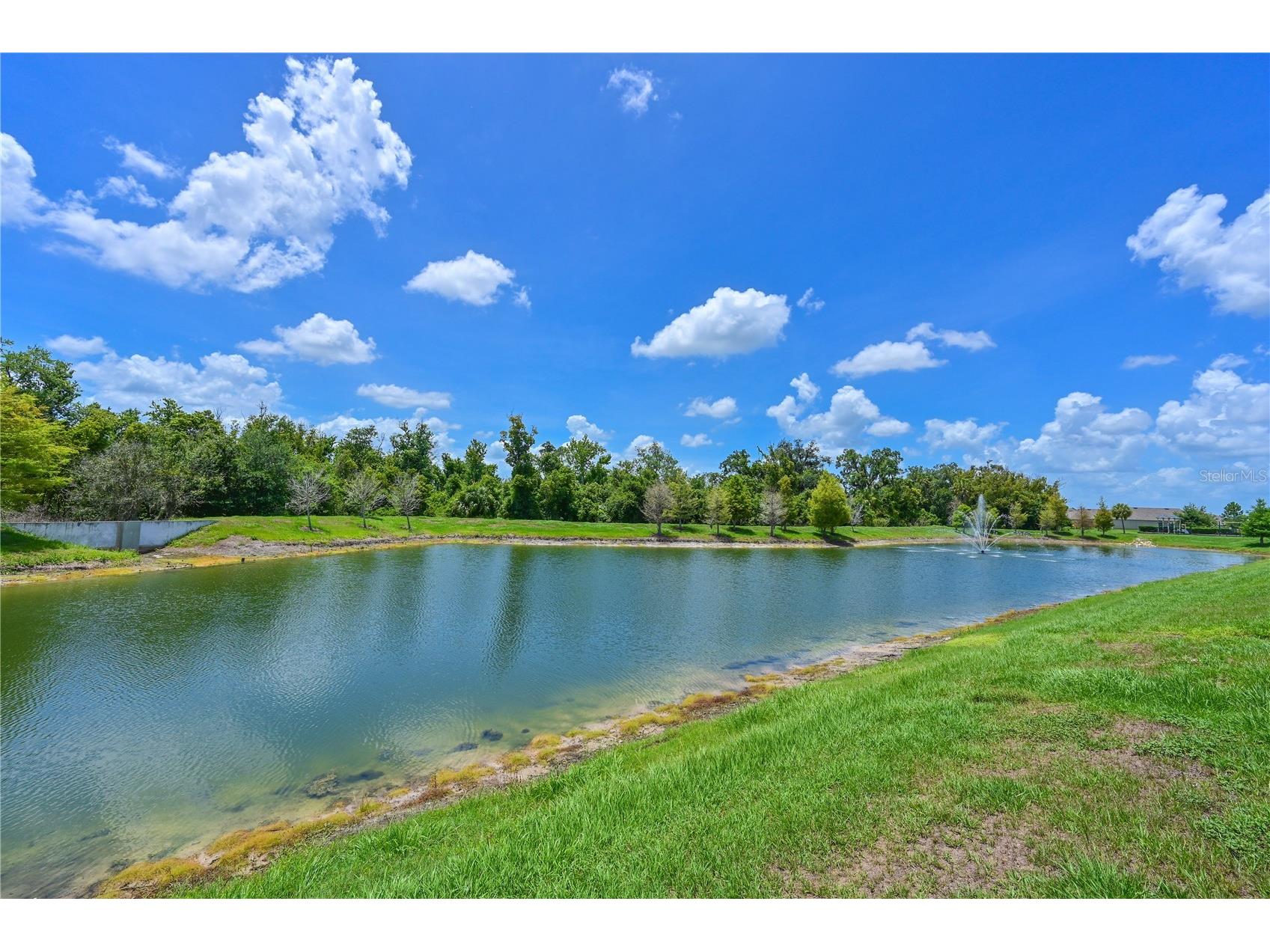 2635 Greenleaf Terrace Parrish FL 34219 A4695348 image15