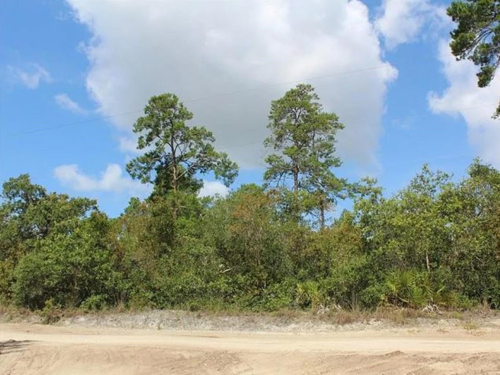 2635 Leonard Drive Deltona FL 32725 A4629405 image3