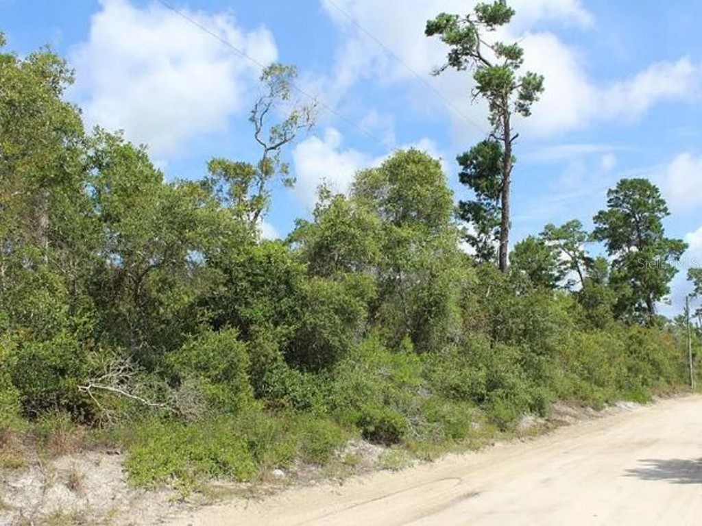 2635 Leonard Drive Deltona FL 32725 A4629405 image4