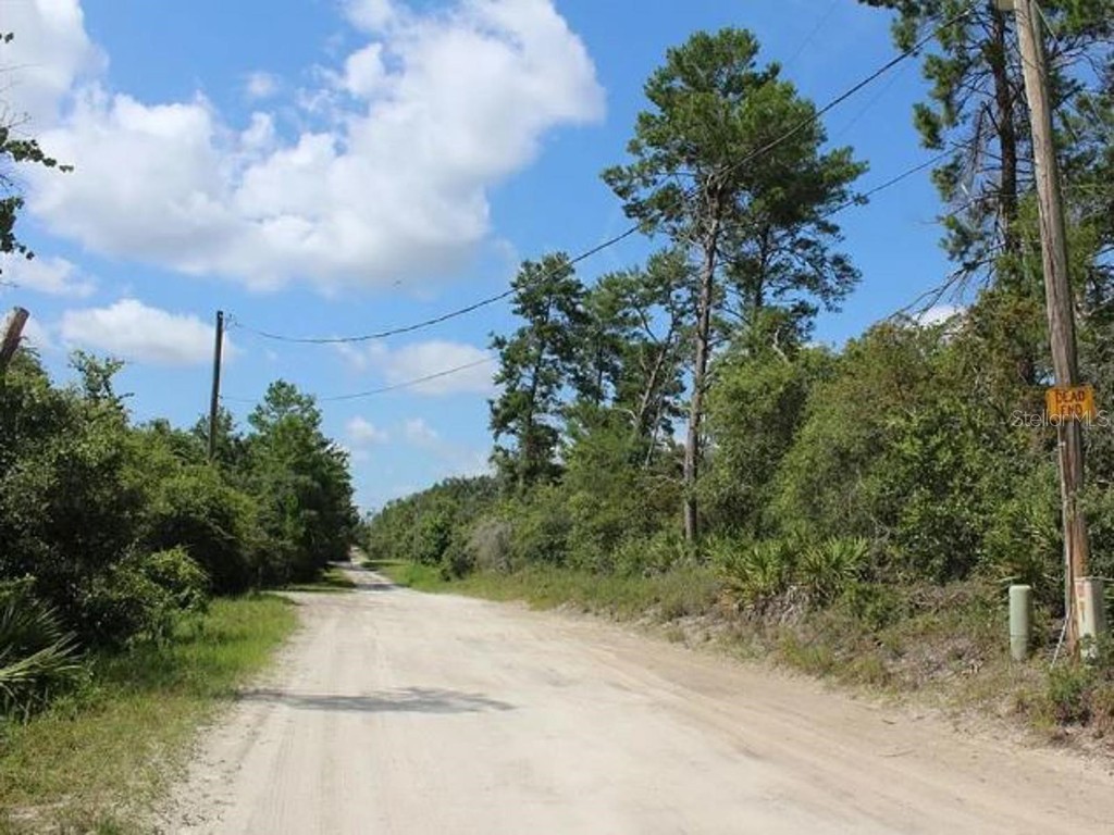 2635 Leonard Drive Deltona FL 32725 A4629405 image6