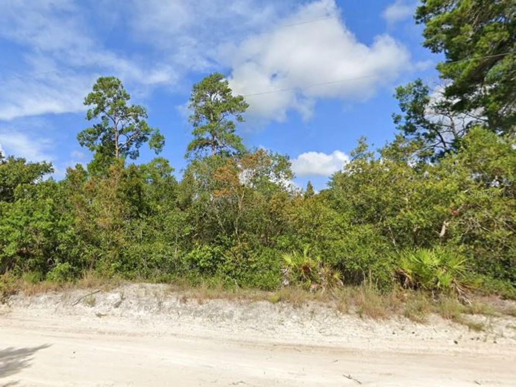 2635 Leonard Drive Deltona FL 32725 A4629405 image8