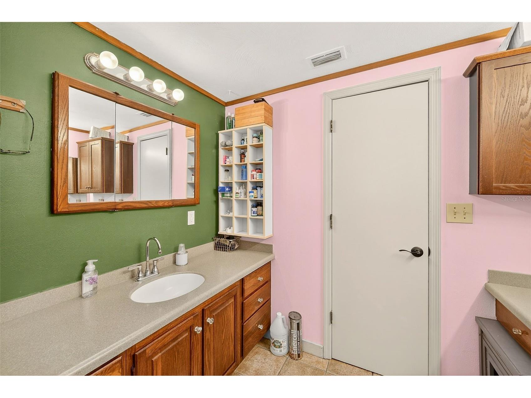 2635 N Dover Road Dover FL 33527 TB8466153 image39
