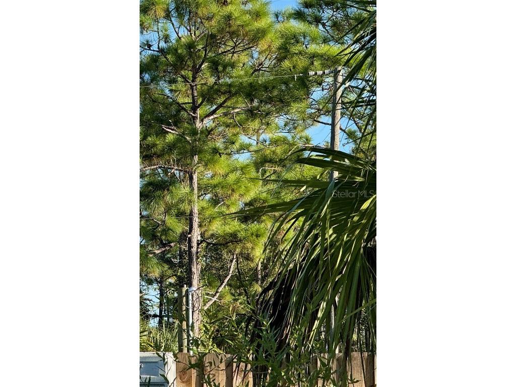 26350 Eager Road Punta Gorda FL 33955 C7516586 image4