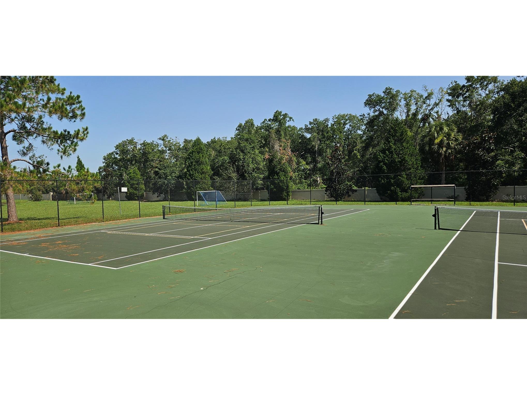 26351 Whirlaway Terrace Wesley Chapel FL 33544 TB8527236 image30