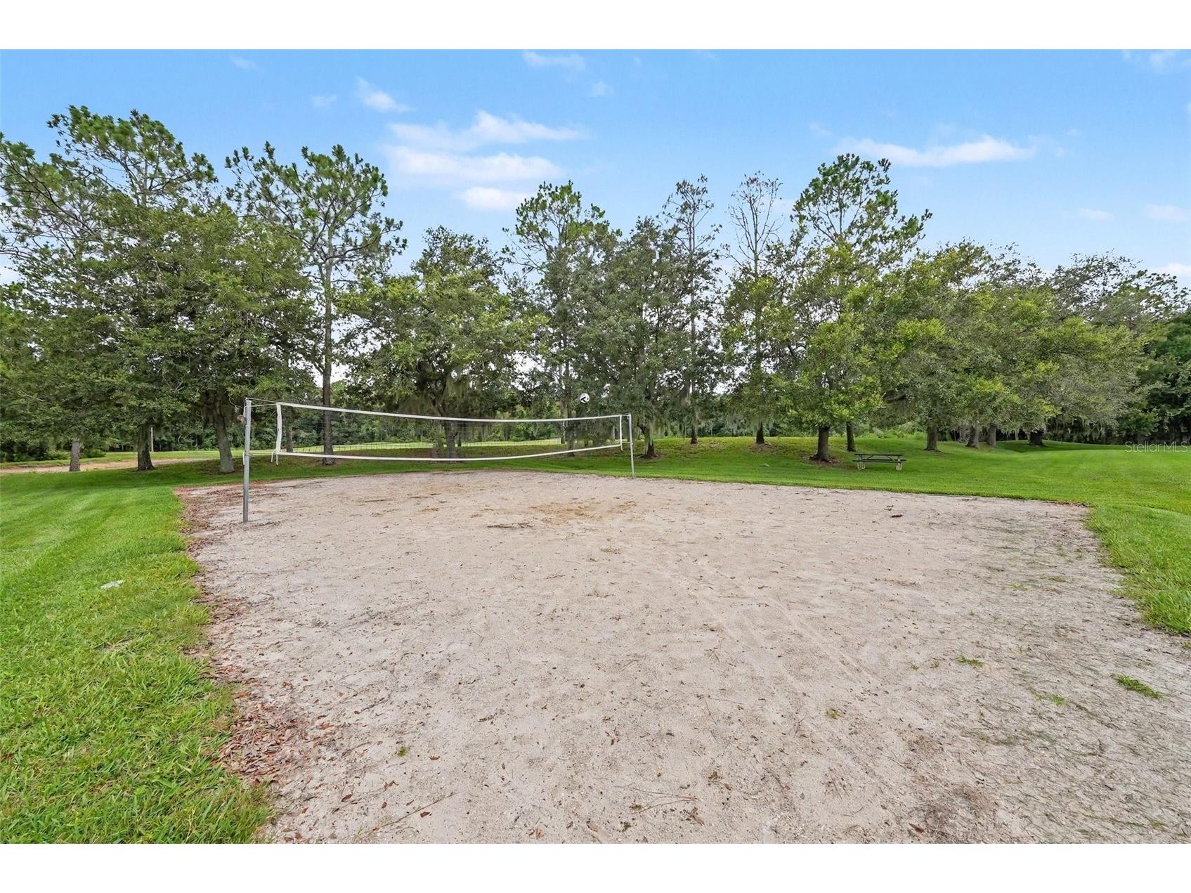 26351 Whirlaway Terrace Wesley Chapel FL 33544 TB8527236 image32
