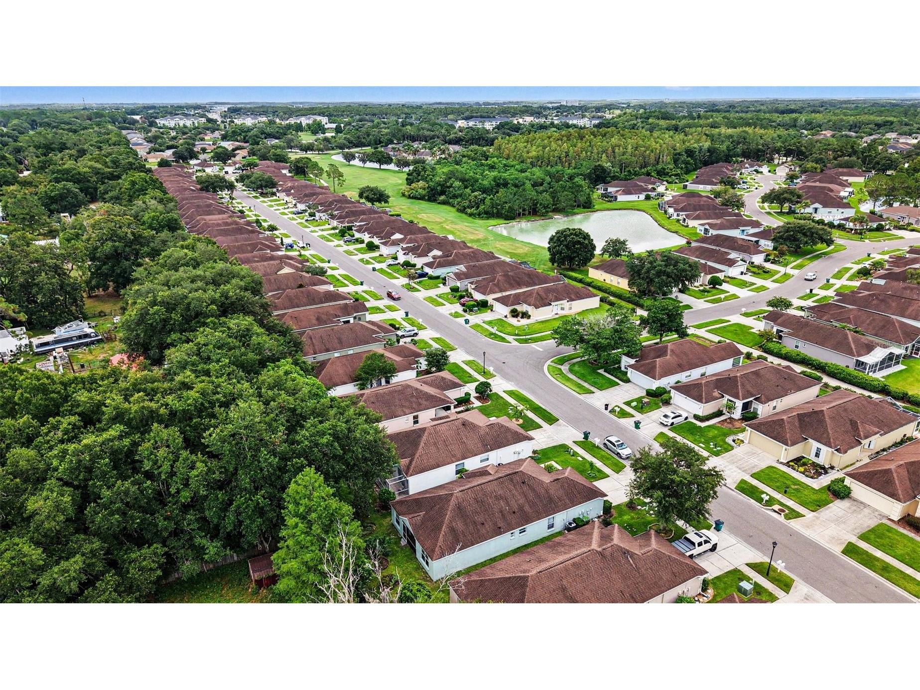 26351 Whirlaway Terrace Wesley Chapel FL 33544 TB8527236 image37