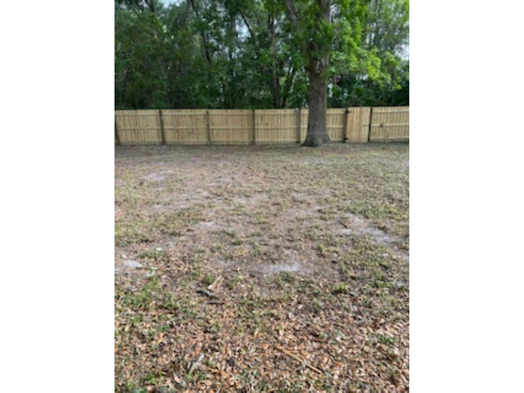26356 Rolling Acres Drive Brooksville FL 34602 TB8501974 image8