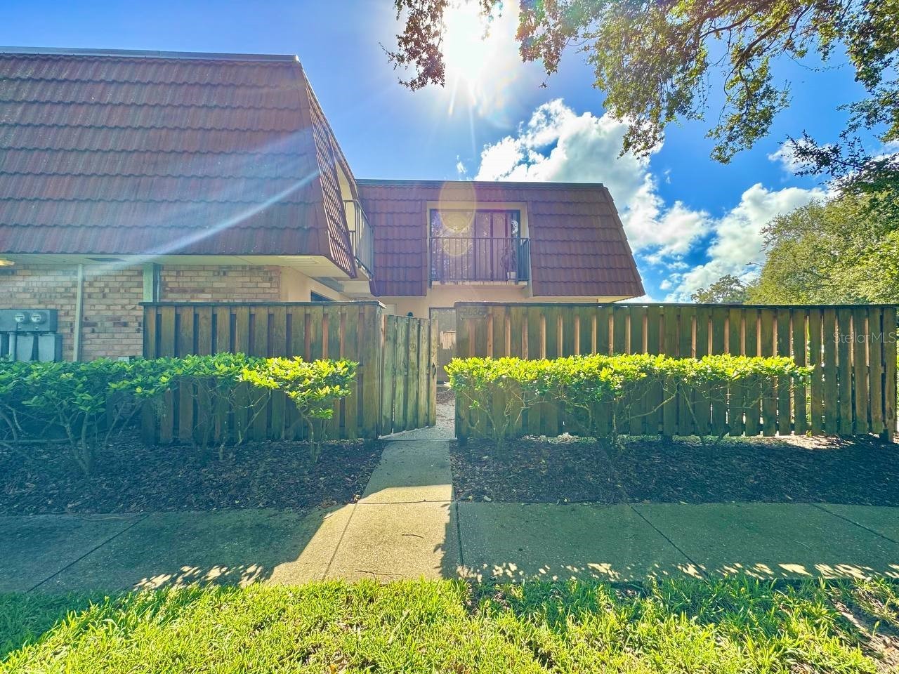 2636 10th Court Palm Harbor FL 34684 TB8484433 image2