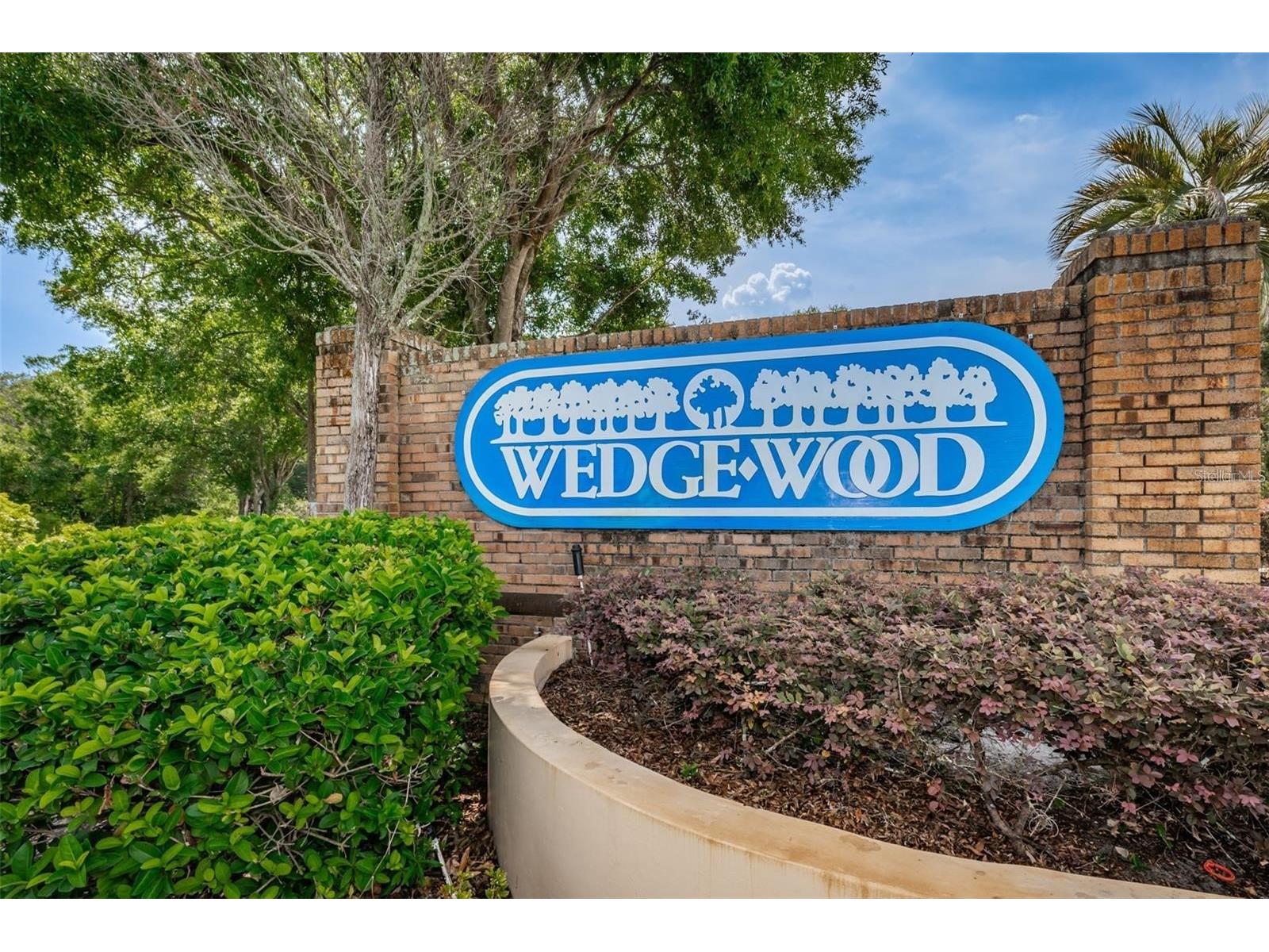 2636 10th Court Palm Harbor FL 34684 TB8484433 image23