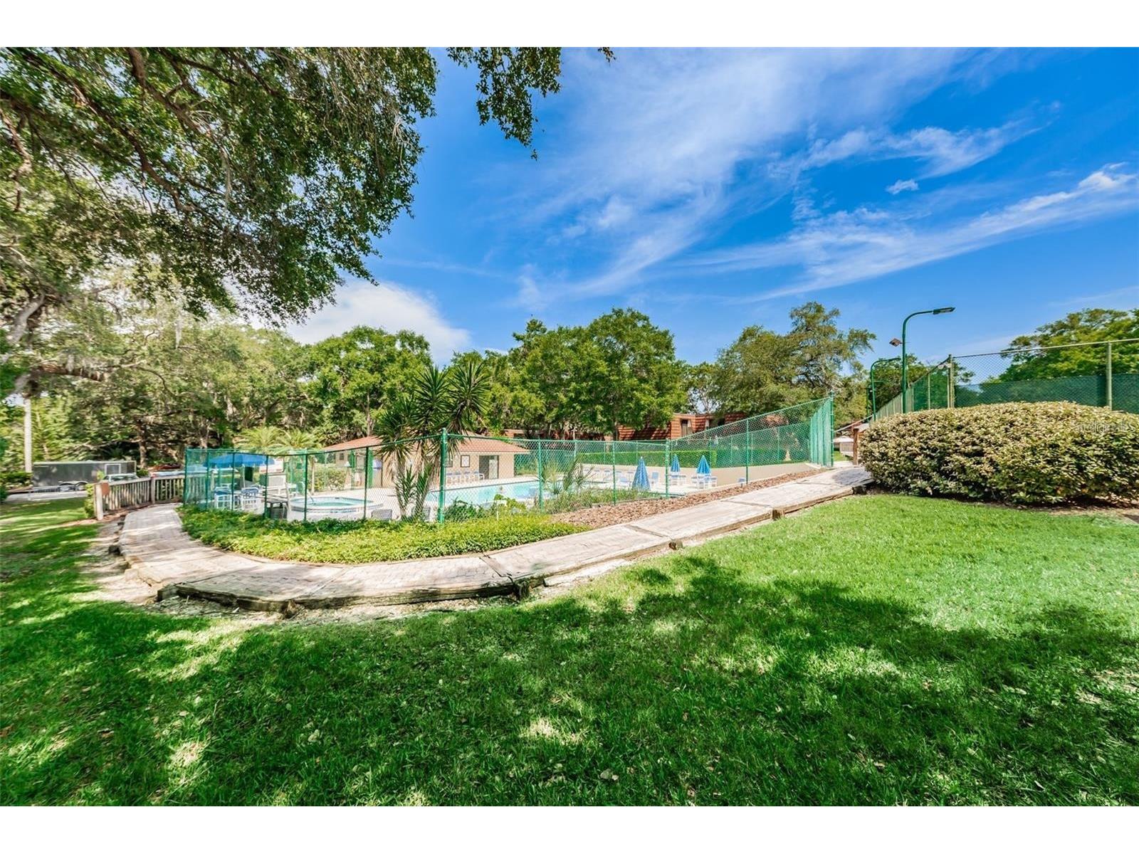 2636 10th Court Palm Harbor FL 34684 TB8484433 image24