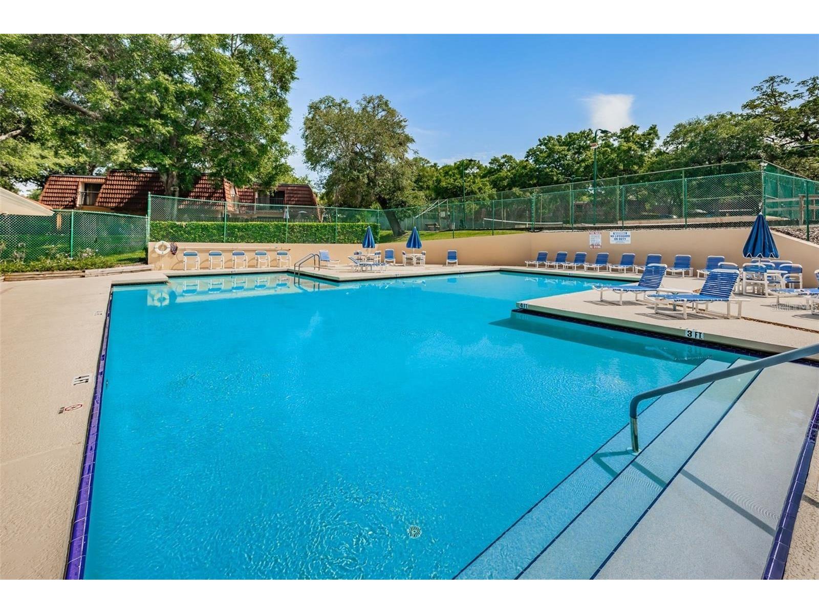 2636 10th Court Palm Harbor FL 34684 TB8484433 image25