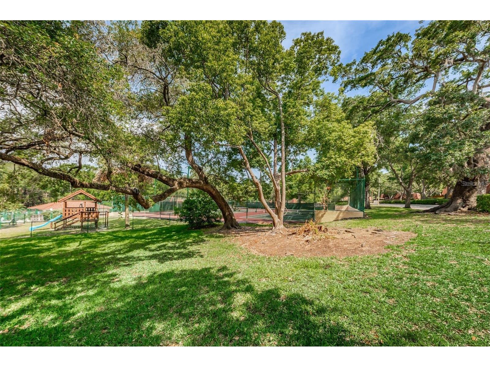 2636 10th Court Palm Harbor FL 34684 TB8484433 image27