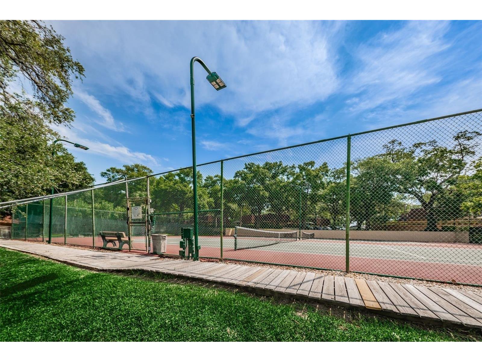 2636 10th Court Palm Harbor FL 34684 TB8484433 image29