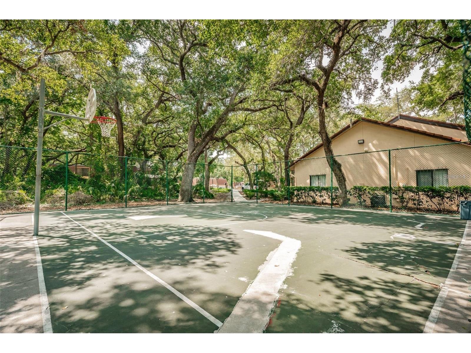 2636 10th Court Palm Harbor FL 34684 TB8484433 image30