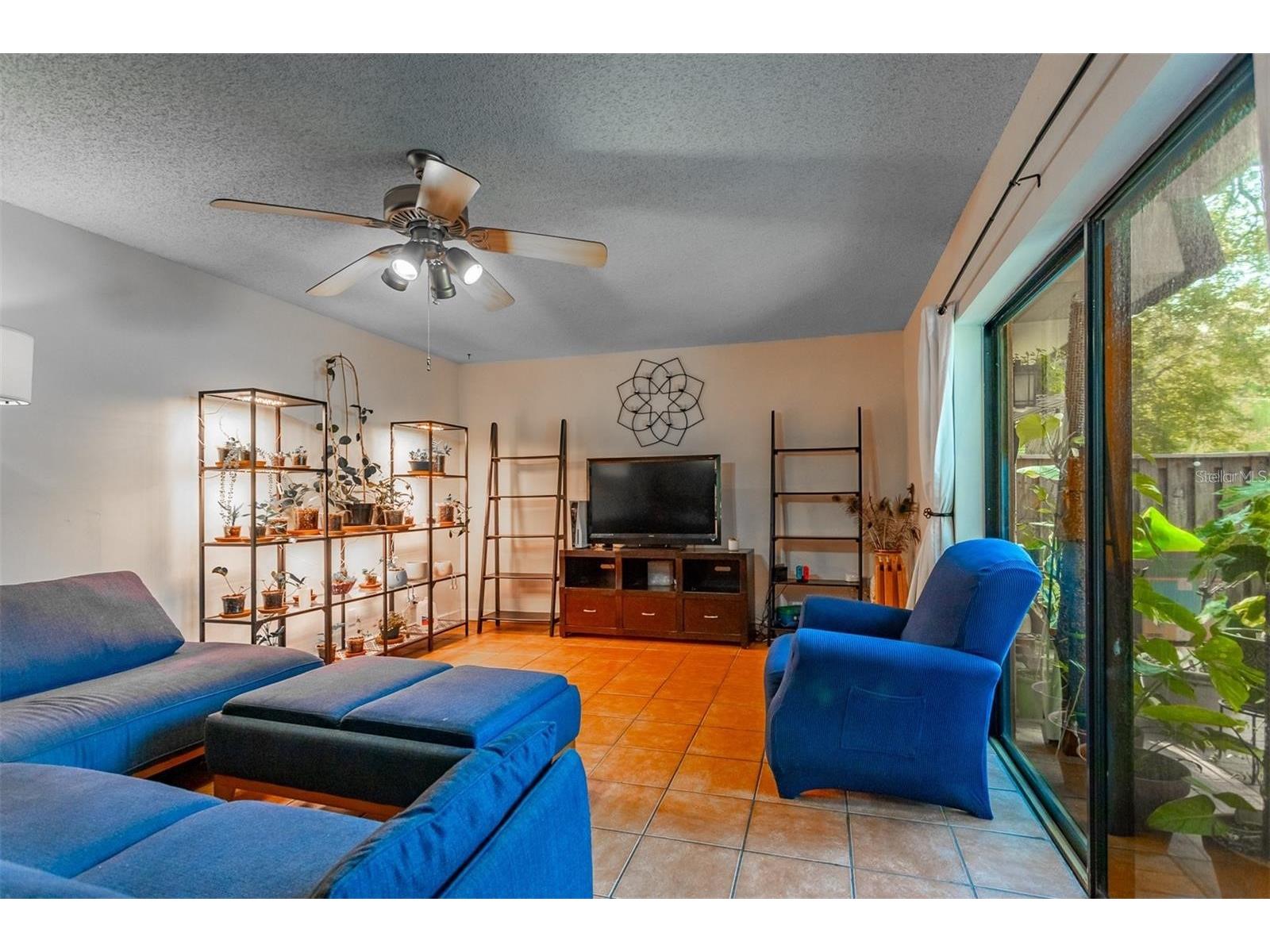 2636 2nd Court Palm Harbor FL 34684 TB8492311 image10