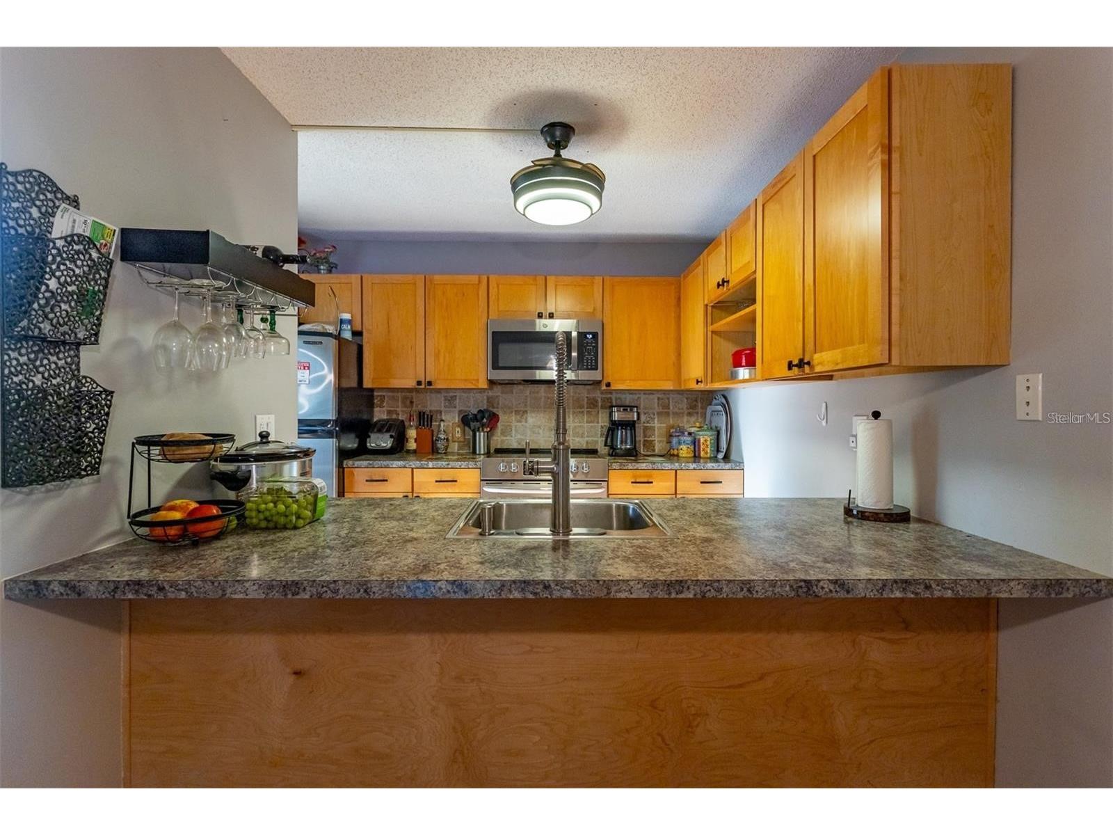 2636 2nd Court Palm Harbor FL 34684 TB8492311 image14