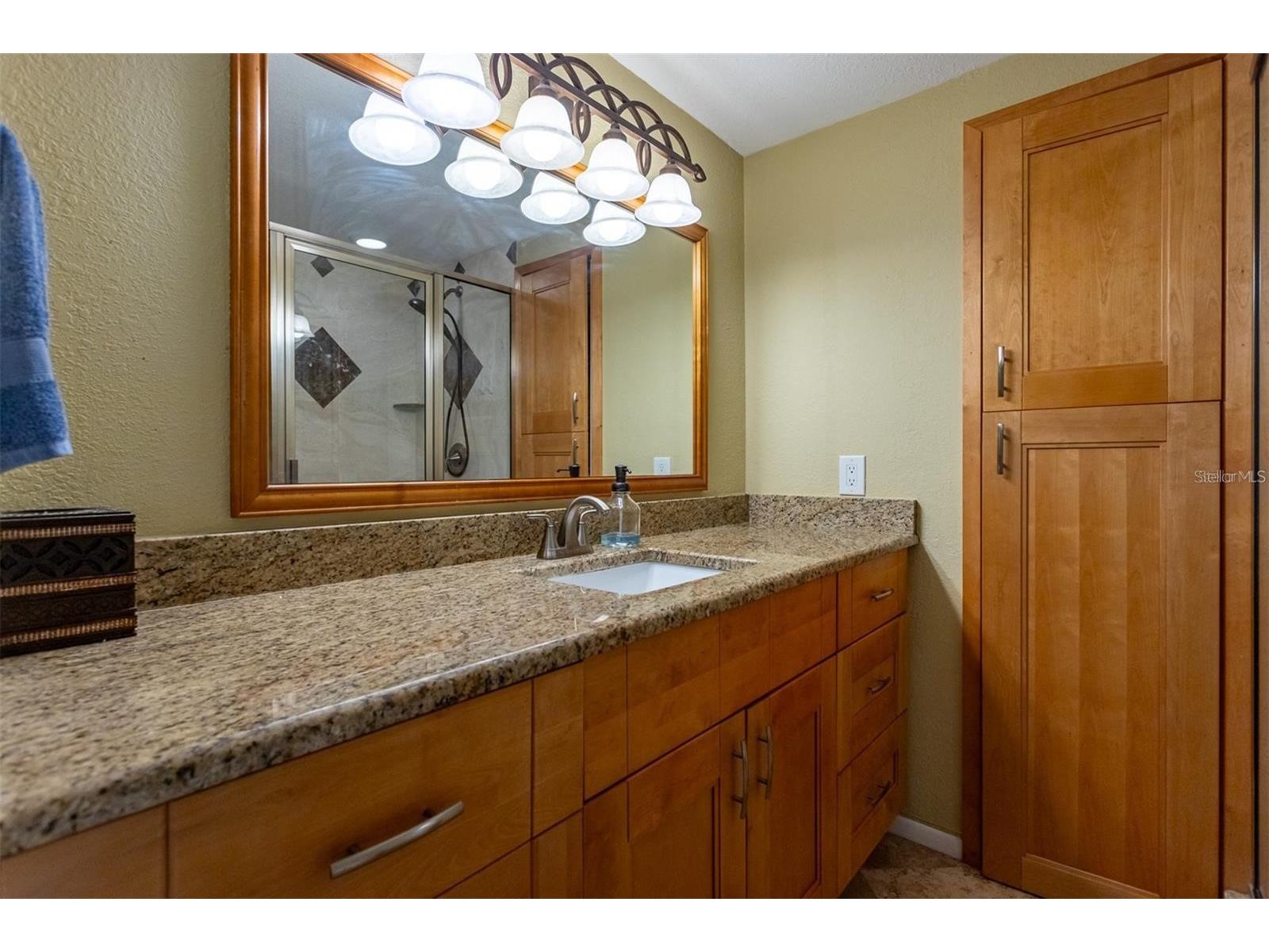2636 2nd Court Palm Harbor FL 34684 TB8492311 image26