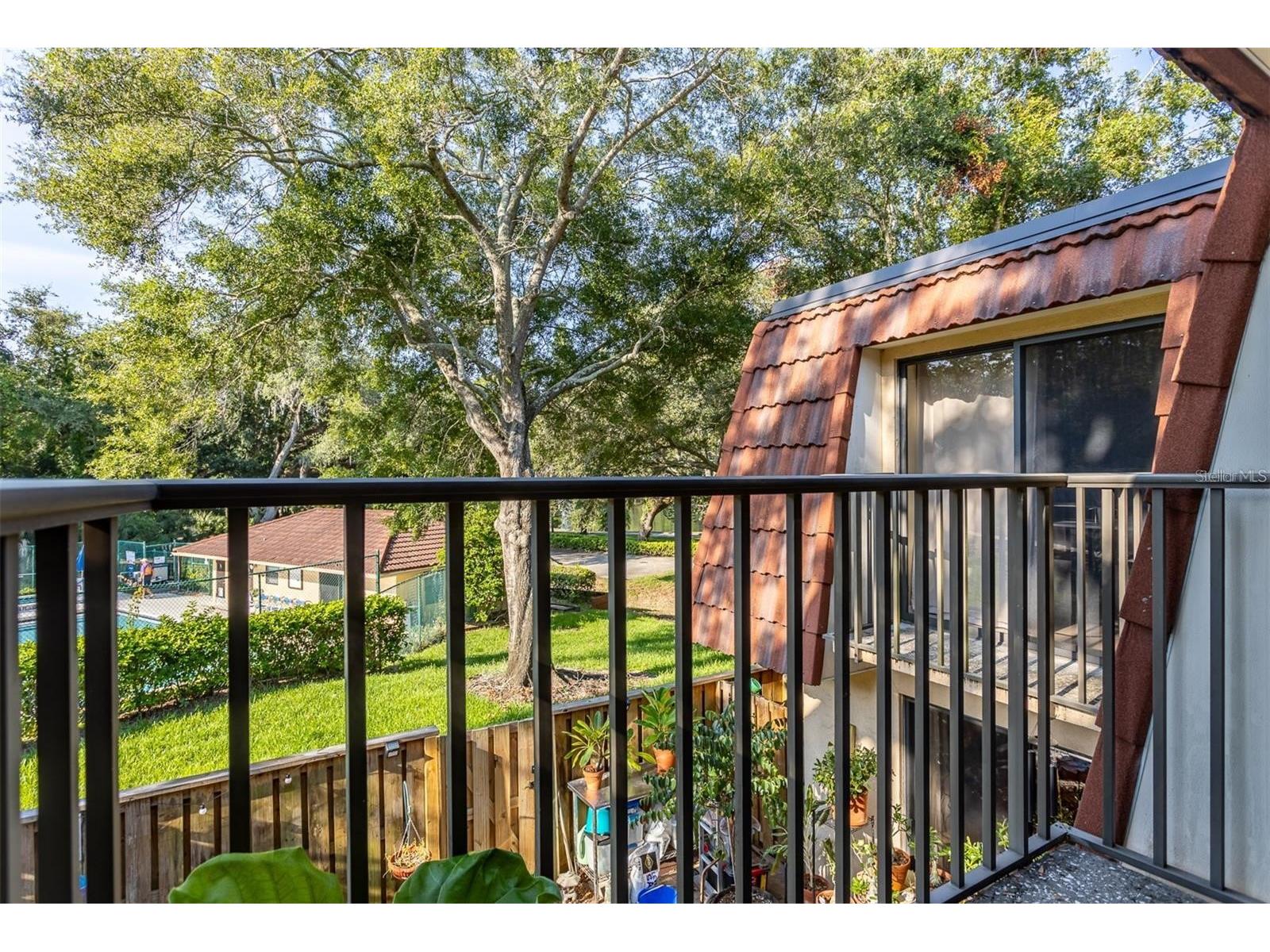 2636 2nd Court Palm Harbor FL 34684 TB8492311 image29