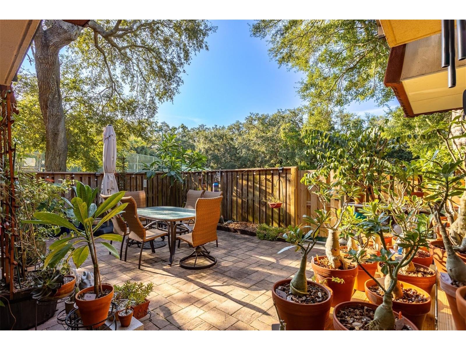 2636 2nd Court Palm Harbor FL 34684 TB8492311 image3