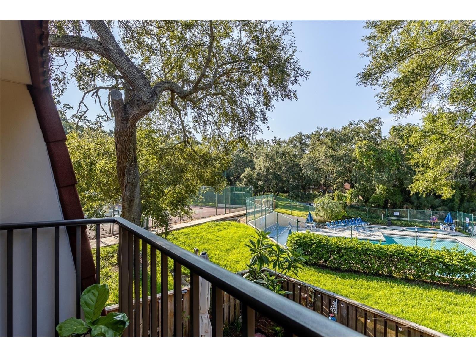 2636 2nd Court Palm Harbor FL 34684 TB8492311 image30