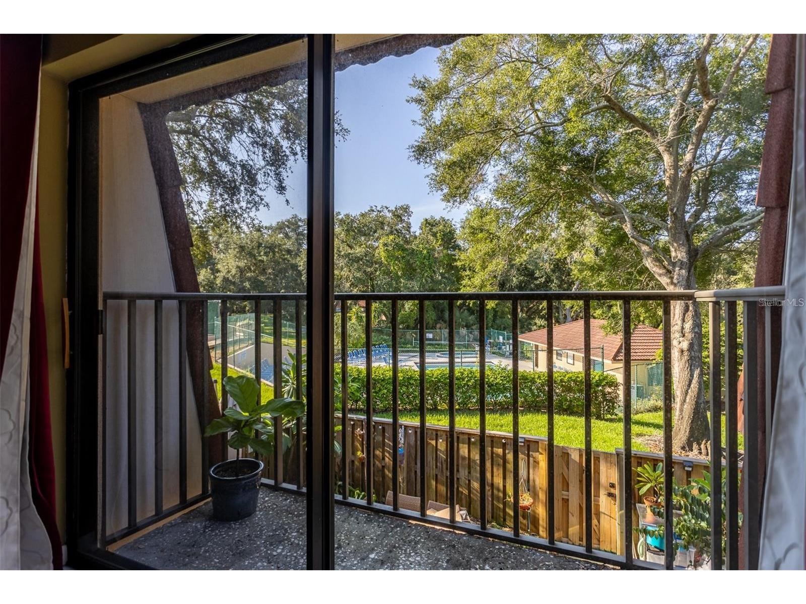 2636 2nd Court Palm Harbor FL 34684 TB8492311 image31