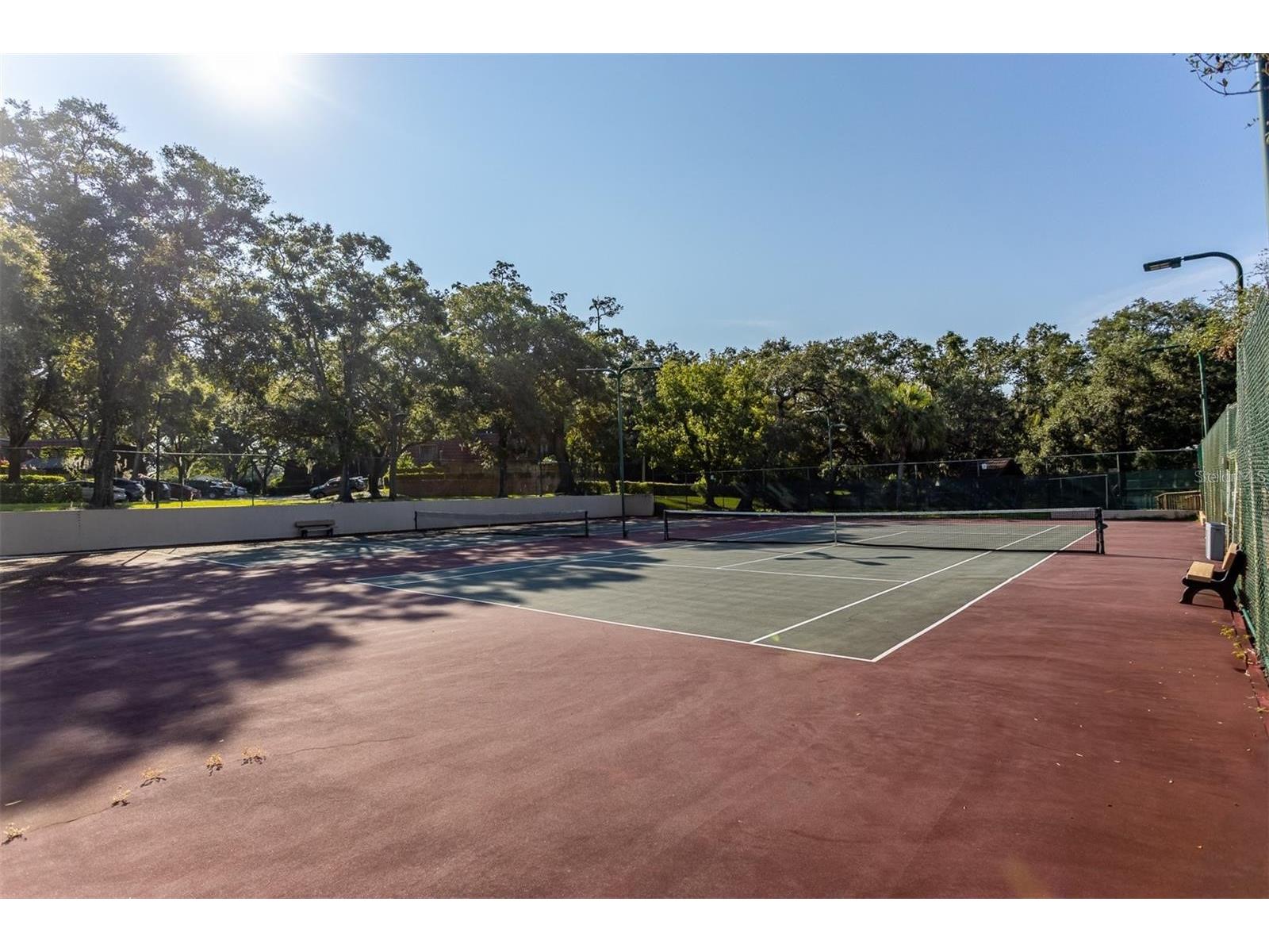 2636 2nd Court Palm Harbor FL 34684 TB8492311 image37