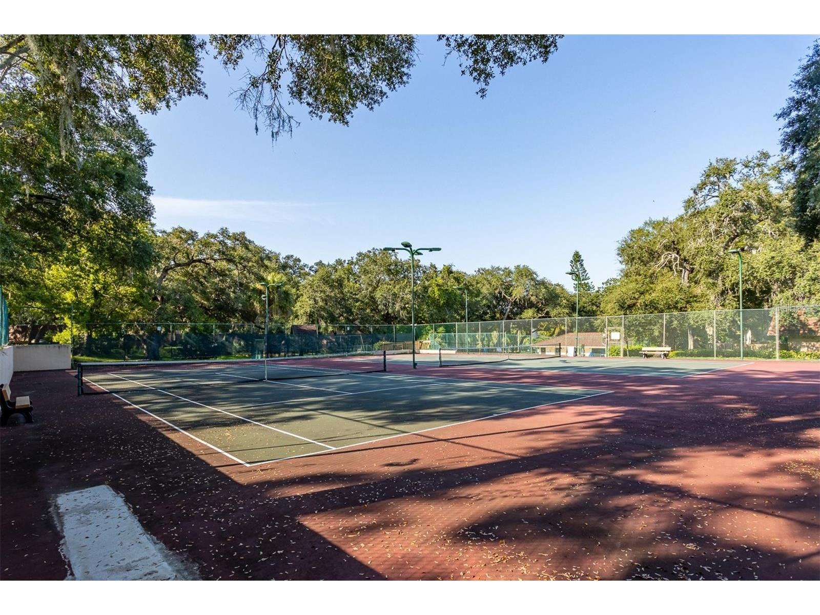 2636 2nd Court Palm Harbor FL 34684 TB8492311 image38