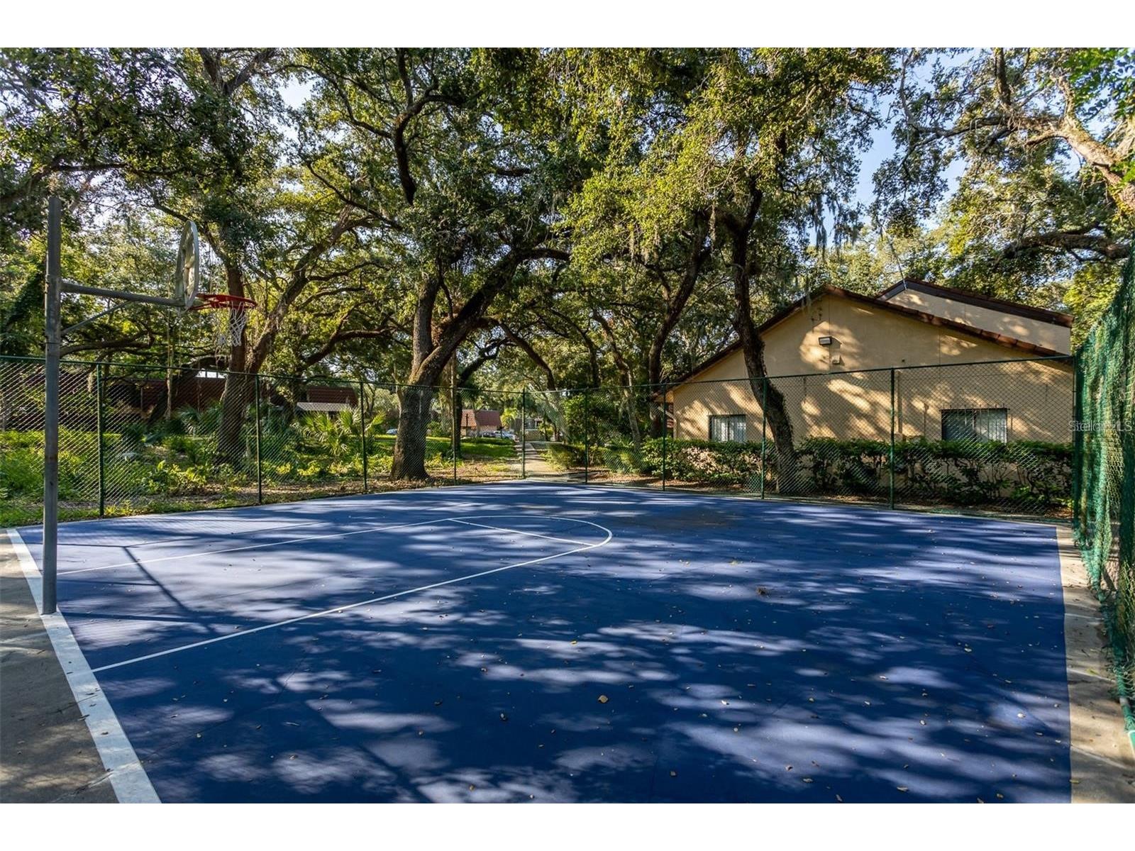 2636 2nd Court Palm Harbor FL 34684 TB8492311 image39