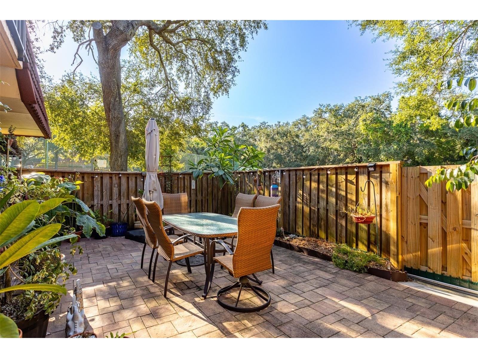 2636 2nd Court Palm Harbor FL 34684 TB8492311 image4