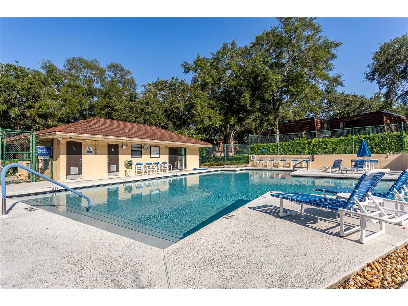 2636 2nd Court Palm Harbor FL 34684 TB8492311 image40