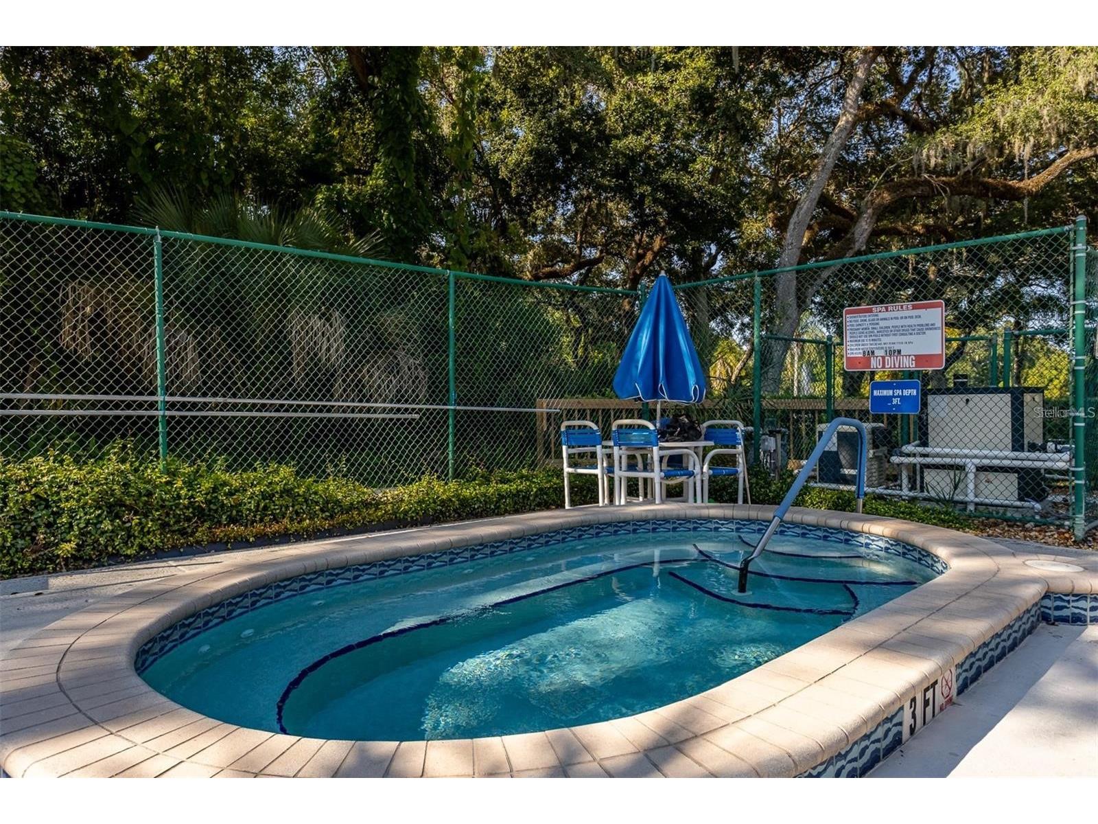 2636 2nd Court Palm Harbor FL 34684 TB8492311 image41