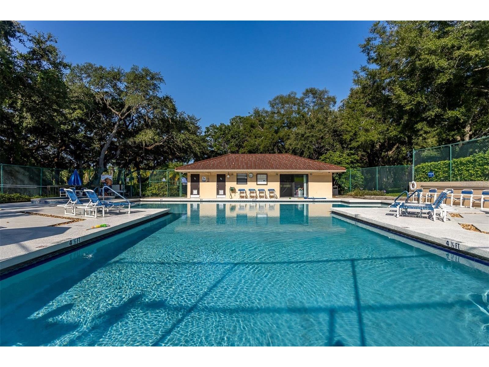 2636 2nd Court Palm Harbor FL 34684 TB8492311 image42