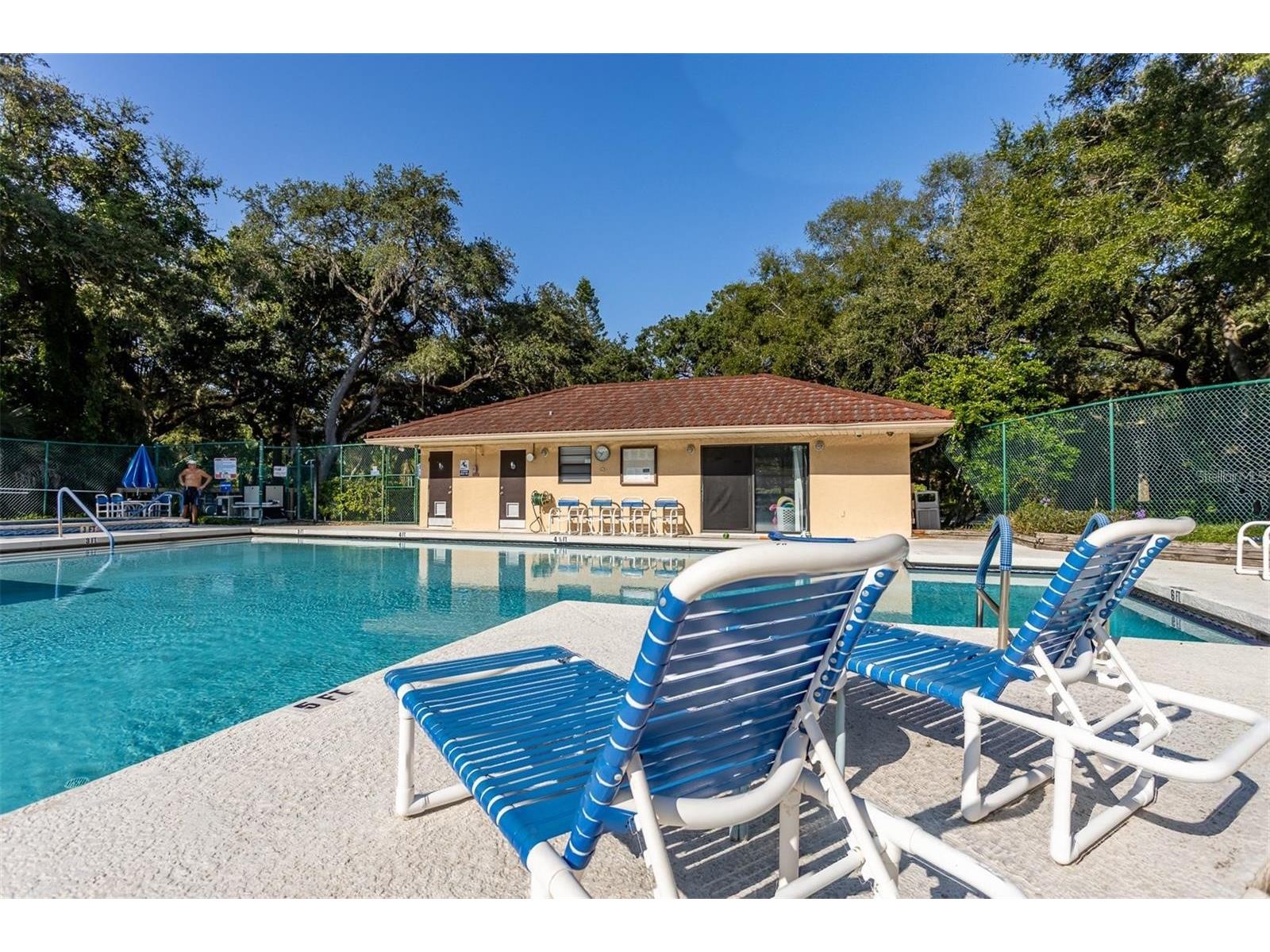 2636 2nd Court Palm Harbor FL 34684 TB8492311 image43