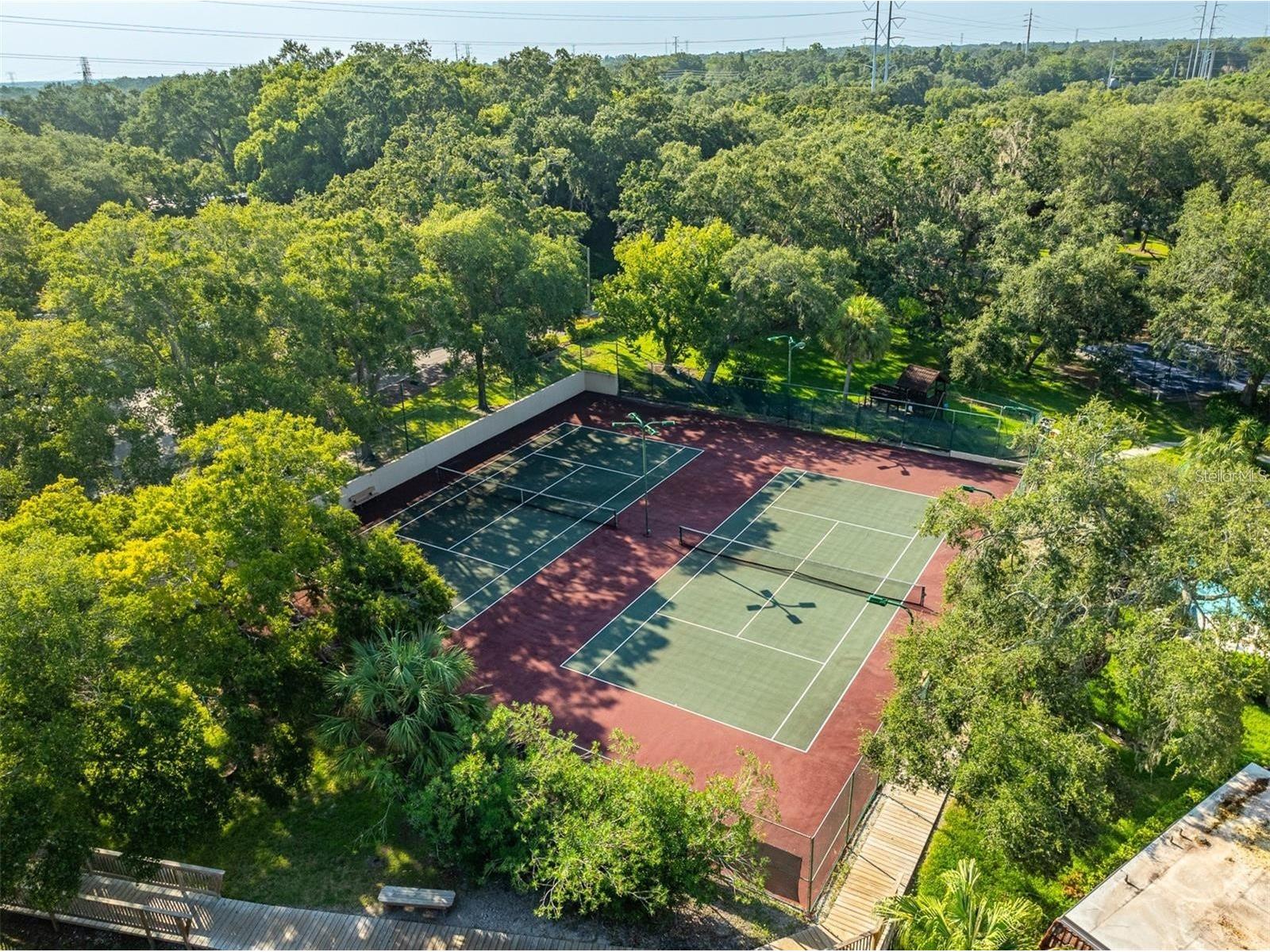 2636 2nd Court Palm Harbor FL 34684 TB8492311 image45