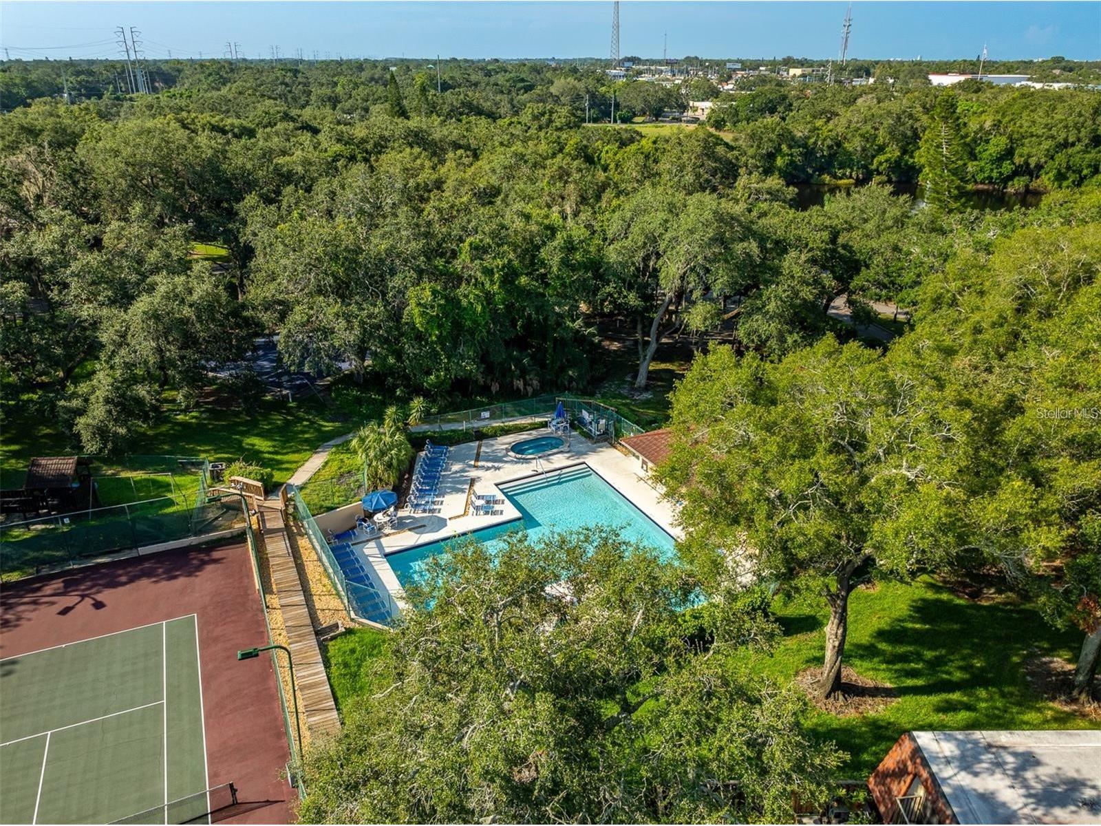 2636 2nd Court Palm Harbor FL 34684 TB8492311 image46